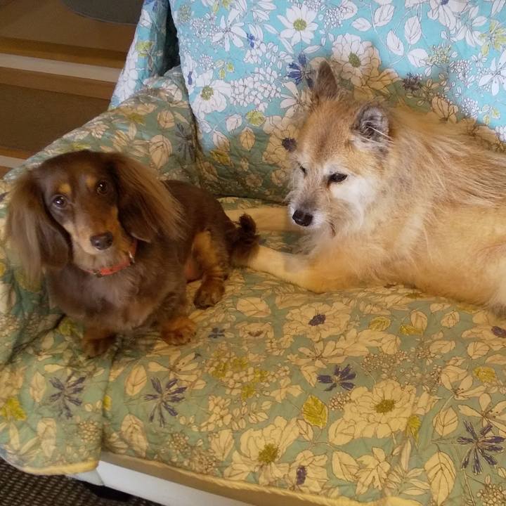 30a4c194 9f37 4197 a29a f34c8a1377ad 1545443576133