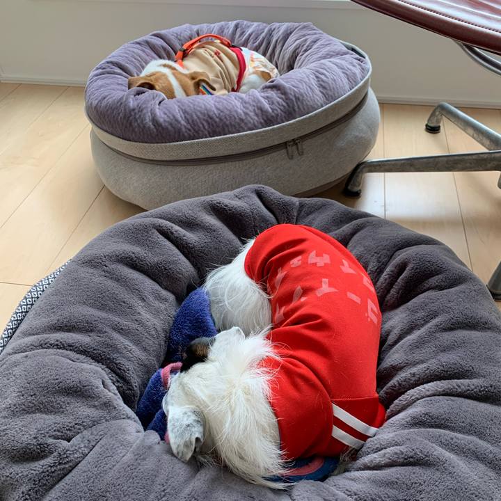 30a4d122 e573 468f 966e 1699f6f29faa 1643077111552