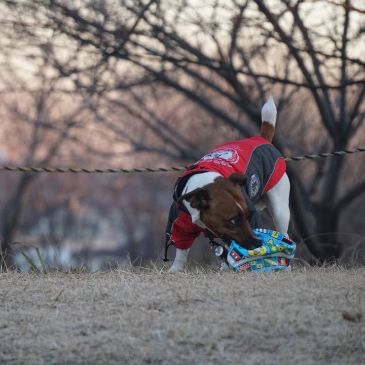 30a4fe2d a258 413e 88d3 32a7661c29c4 1515711118923