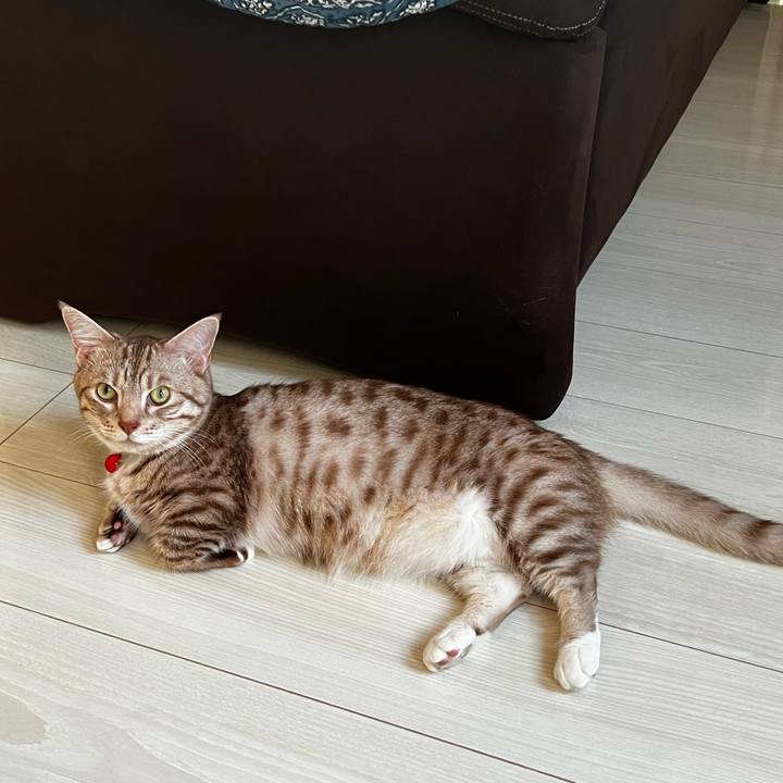 30a4ffb9 f4dd 460f b32f e95012cef6f2 1691274745415