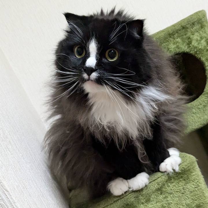 30a5089d 145a 470d b882 b599737ed1c0 1736002904958