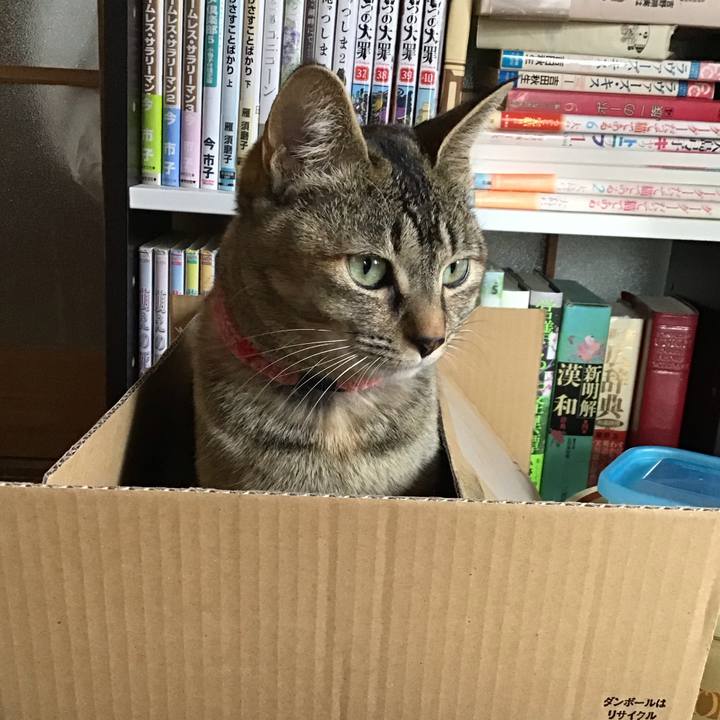 30a535bc 1526 4fbc 9074 c2775cd4c4e3 1586578666098