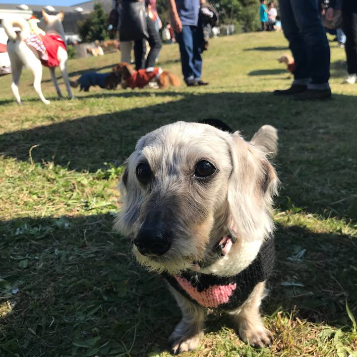 30a569c3 8106 4568 b923 366e446d44c0 1509701668354