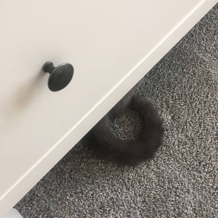 30a573ba 2d61 498d a264 75e5269b750a 1653091534493