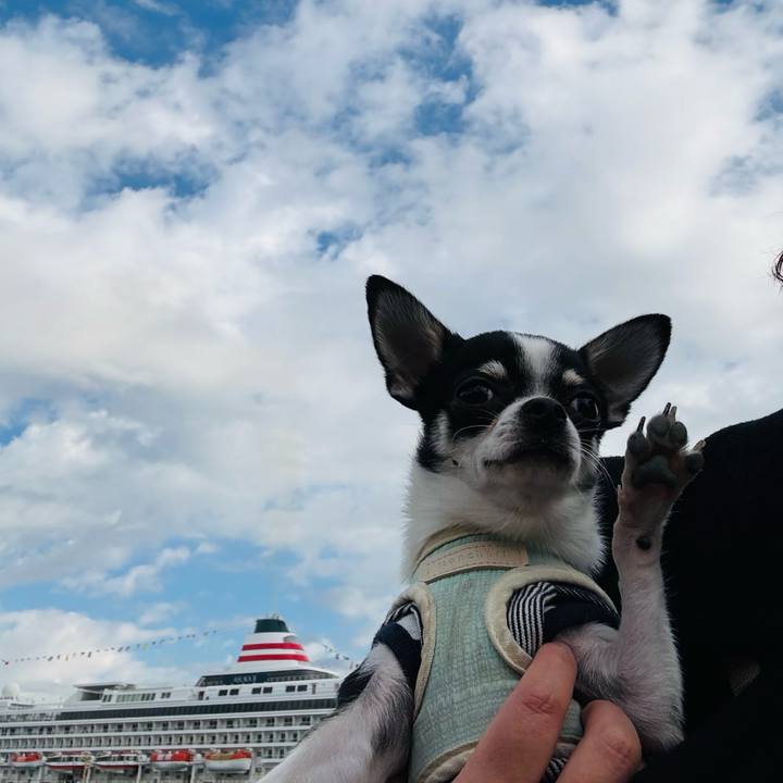 30a574a0 b12f 46c6 b442 3b8aeb450f01 1765060255514