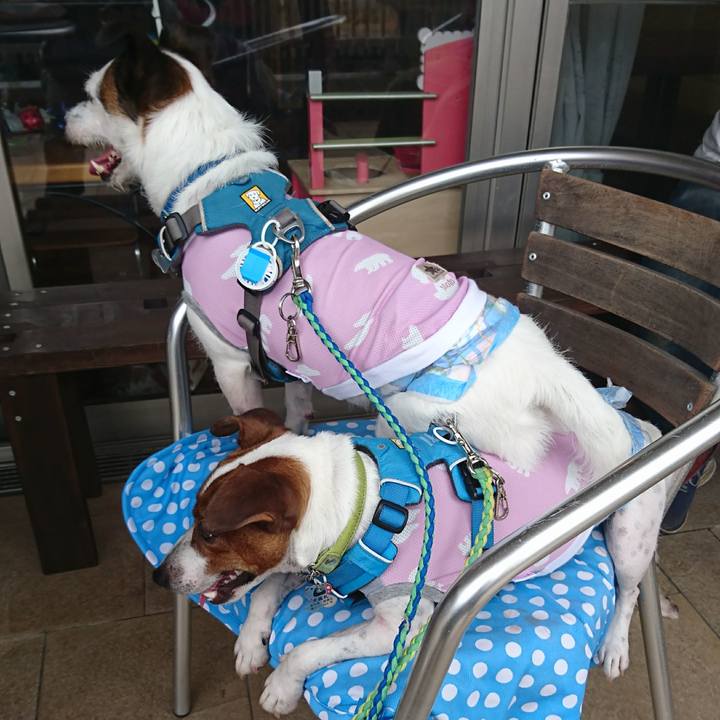 30a576b2 fe1f 4adb 9878 61352f05caa7 1593498529541