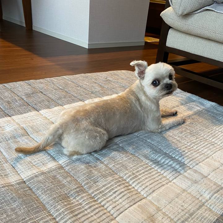 30a59326 3dee 428c aaeb cca43e8e22f9 1751455183649