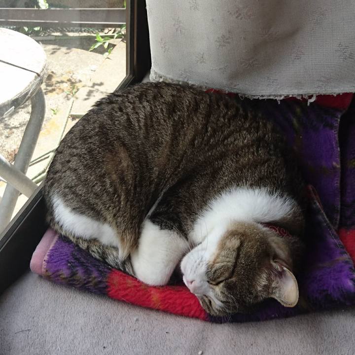 30a59880 ee48 4fa5 ad65 e1bb8fb4711a 1525927723104