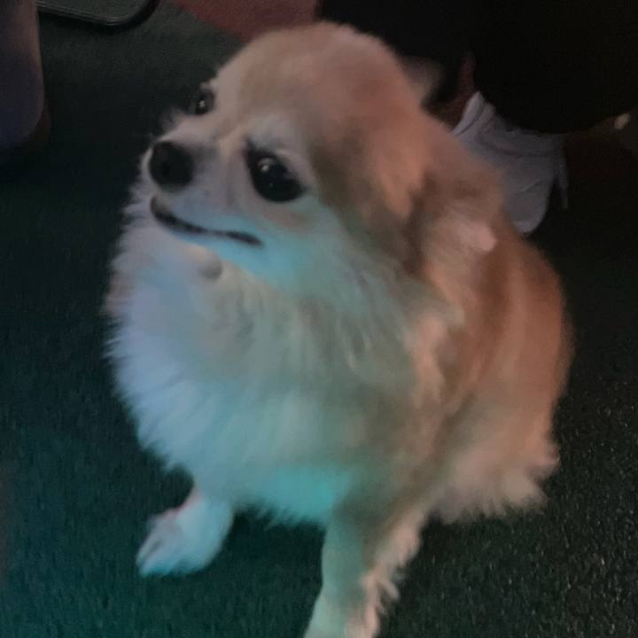 30a59978 bde8 44fa ac62 465c5fc637f5 1764174071503