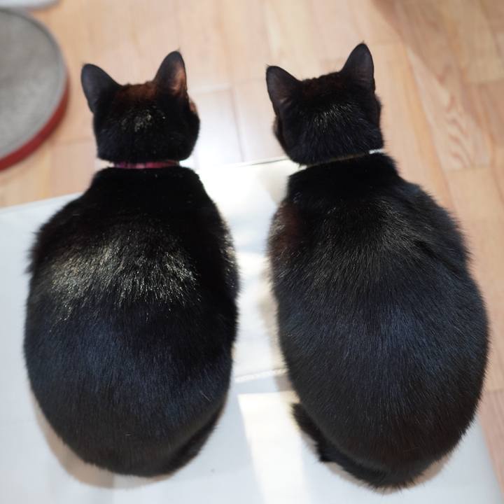 30a5b60f 2ef8 4fe7 b321 2d0b9a9721ff 1605079393684