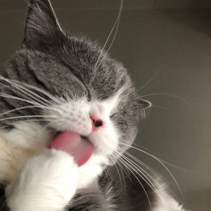 30a5bde7 382a 4ac4 a5b8 cf9c5b2d6a75 1535435921957