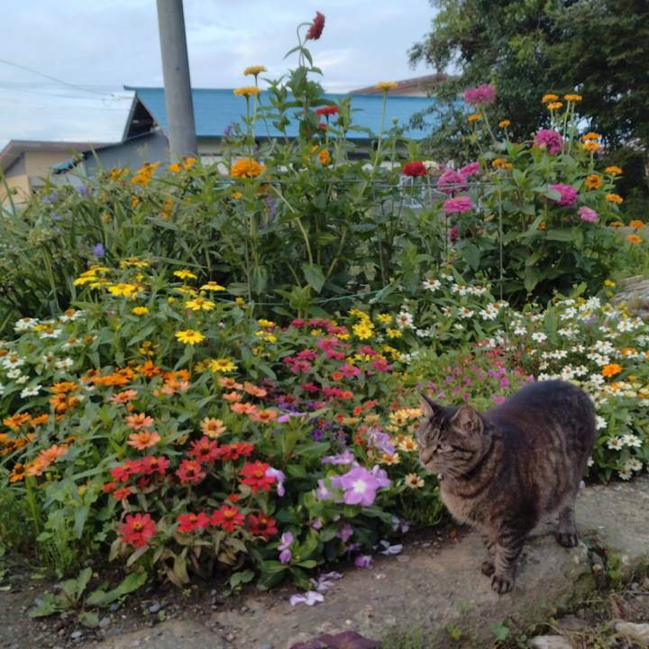 30a5c6b1 ec45 482e b9e7 6ed7de02df09 1721340561612