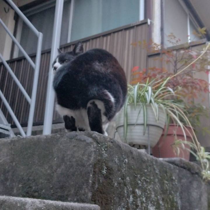 30a5e097 d16a 4189 b28b 8b33b72aacb6 1704711301607