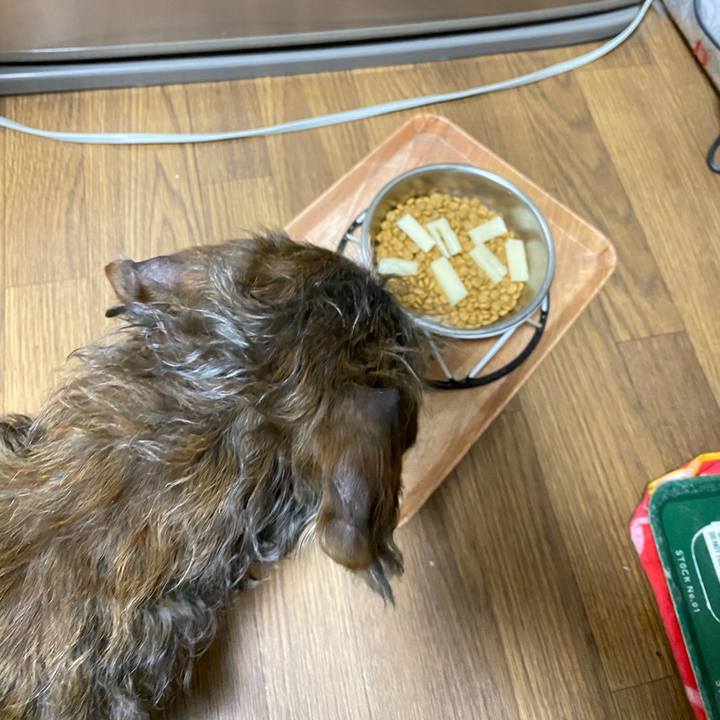 30a6004d 7a1c 40cb a919 7c2f64c5089c 1618144788107