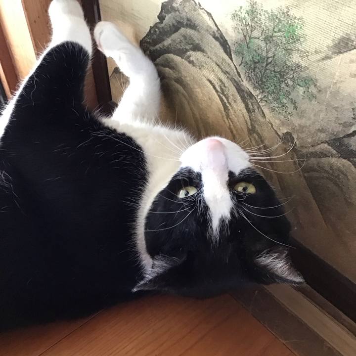 30a60c98 6fa9 4b9a b934 8e9339b6bf27 1720174812785