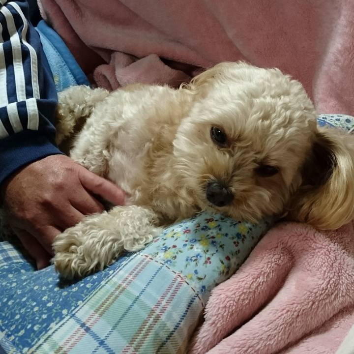 30a60f1a 46d2 4cc0 a7d9 0e08d3c8416d 1508879109171