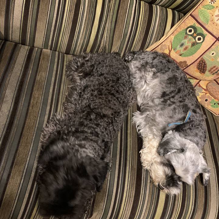 30a6269a ed8c 46ba 80fd 8184322bb5c0 1594768388025