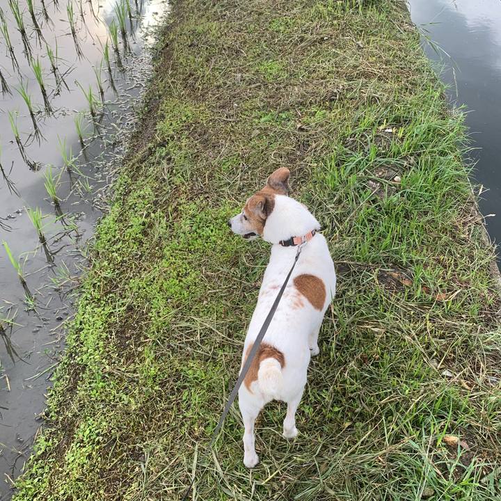 30a63276 7fc1 4573 ac74 350ec233ac71 1593209406766