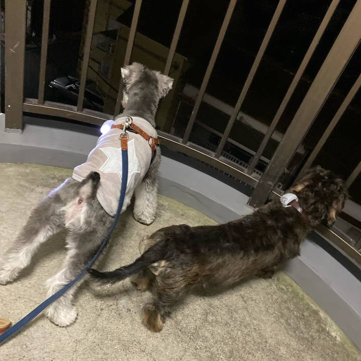 30a655fd bfa7 4d19 87a4 0affce57afed 1572448042912