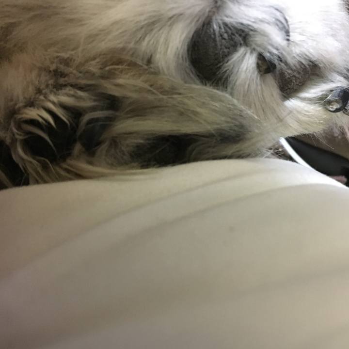 30a65f3c d9eb 42ed ac64 b03b056fec05 1603947431553