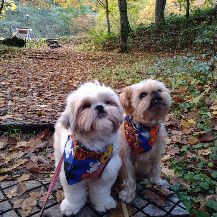 30a6b79f 3da1 4c29 a646 c4e35648a3a1 1603767853434