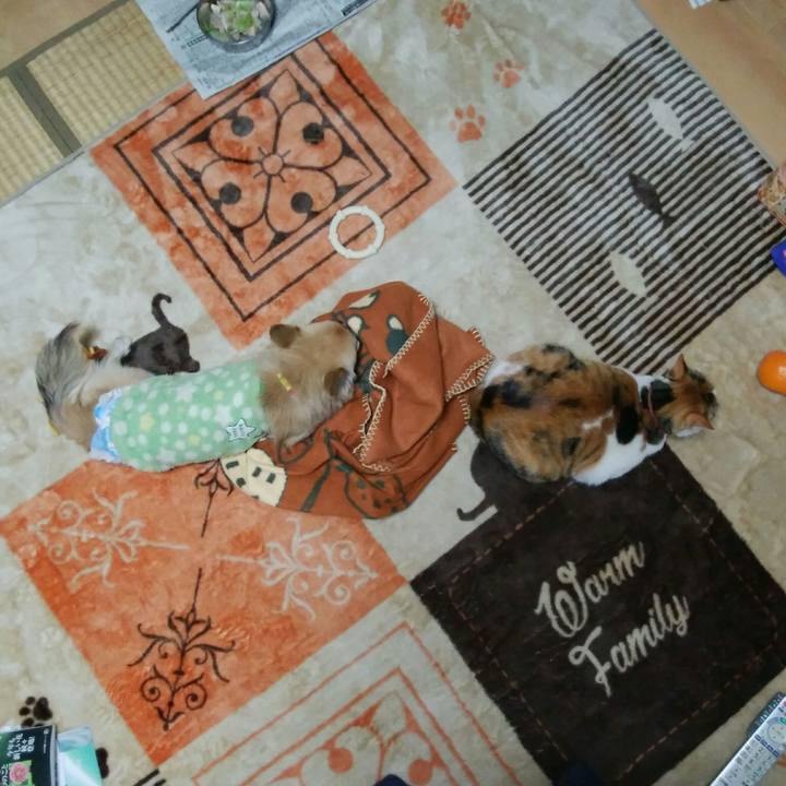 30a6d6c7 b2d4 4b42 92cd 5bf059c57768 1514455783336