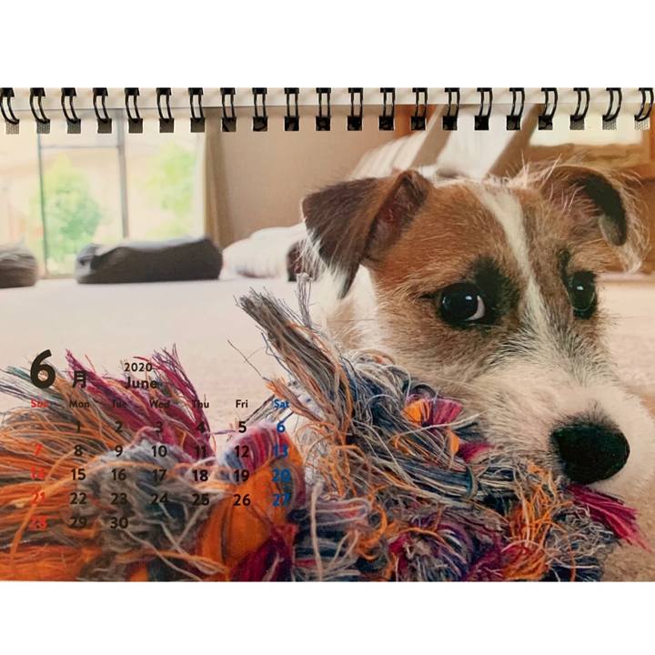 30a6dfbb a240 491a 95ef dccfd279e003 1593470192477