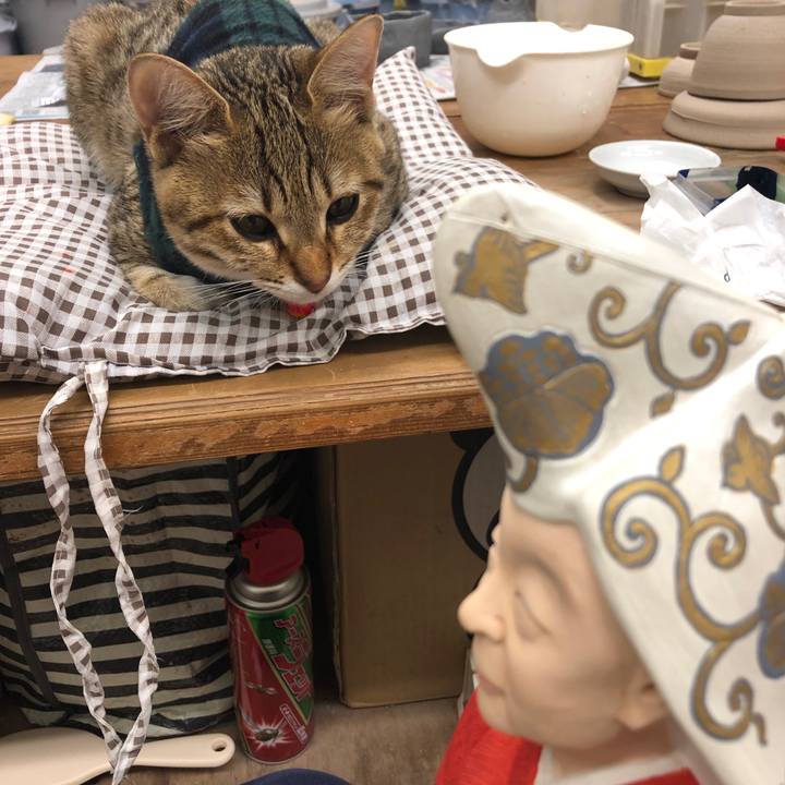 30a70186 102a 4bcb 98b7 f7e9fdd9986f 1583153957648