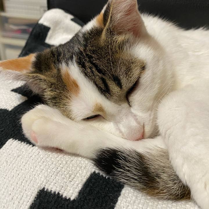 30a70ba8 3734 4c2f 9cf2 9273468f0cec 1602936465984