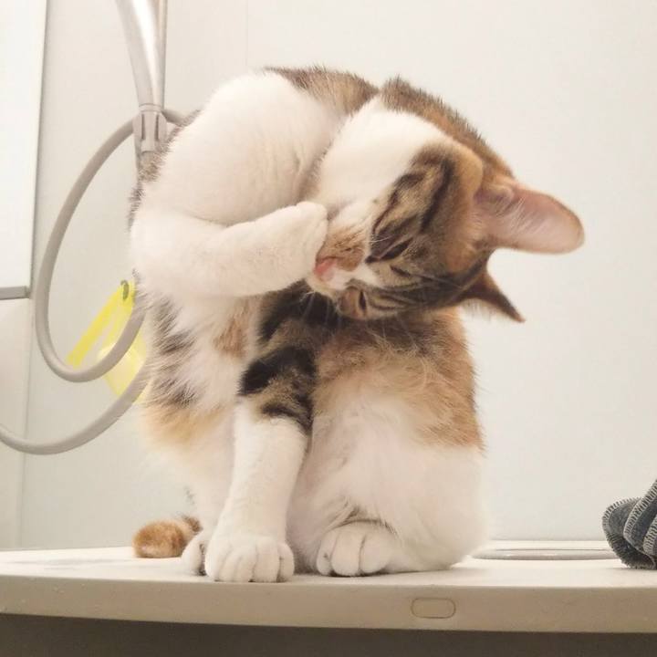 30a7146e 6ae1 444b b33d e92c64b0fe0a 1644917251401