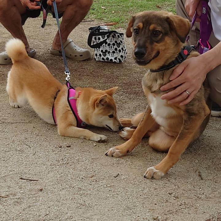 30a71a5c 743c 49cd 9d19 872d73917da1 1687134124328