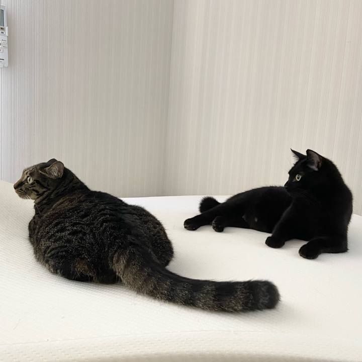 30a73629 ae3e 4601 b023 a79e05fb59a7 1633864350975