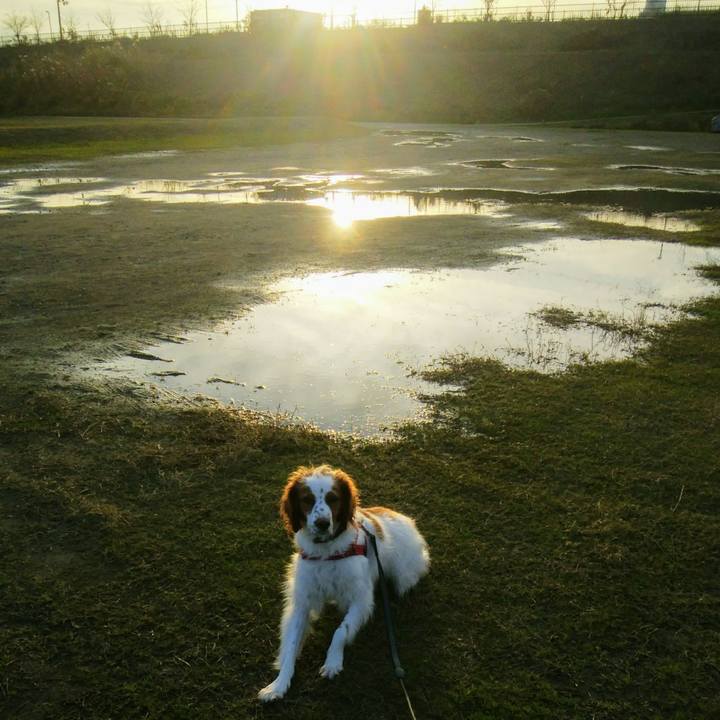 30a7403e d860 49d3 b734 616c68e53d1b 1544007844182