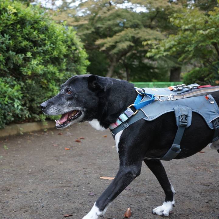 30a74a86 d7c2 4529 aa98 8800e70272d8 1762041995458