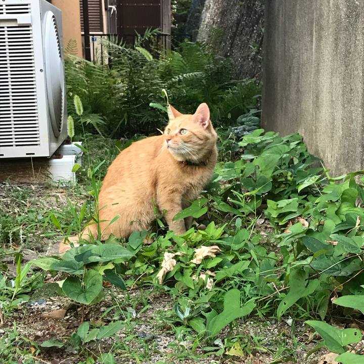 30a74b88 b8f1 4721 8edf af669bd91bd8 1532772271088