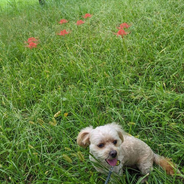 30a754bc 5cc2 453d 8aef 43959cce1884 1663561057723