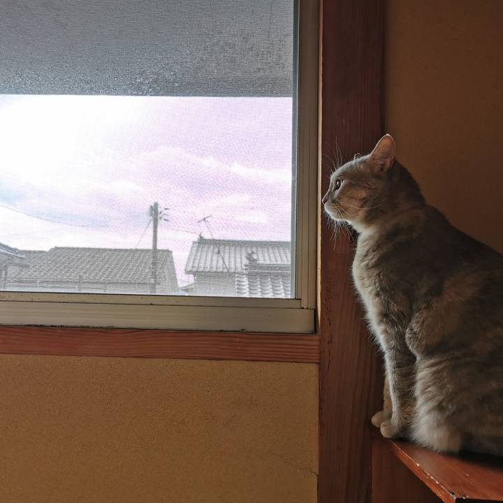 30a77c49 e803 44f5 9338 f19985edf9b4 1656217065730