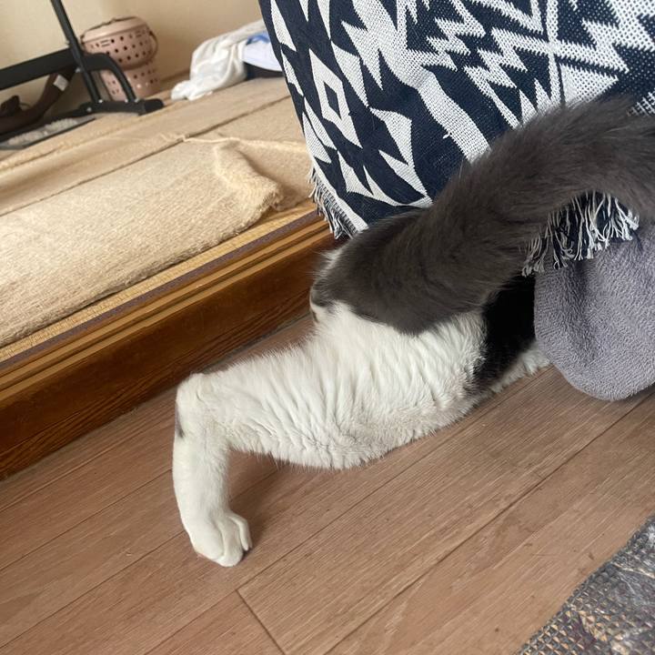 30a7a850 4719 46dd a99c 9d4c4e4e5289 1722406129262