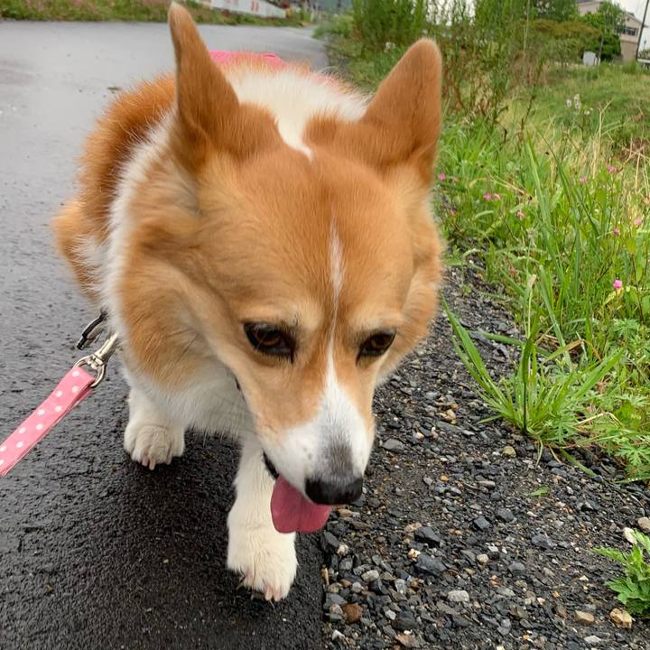 30a7af6d c775 412d 809b 75fa5041a0c5 1619670324128