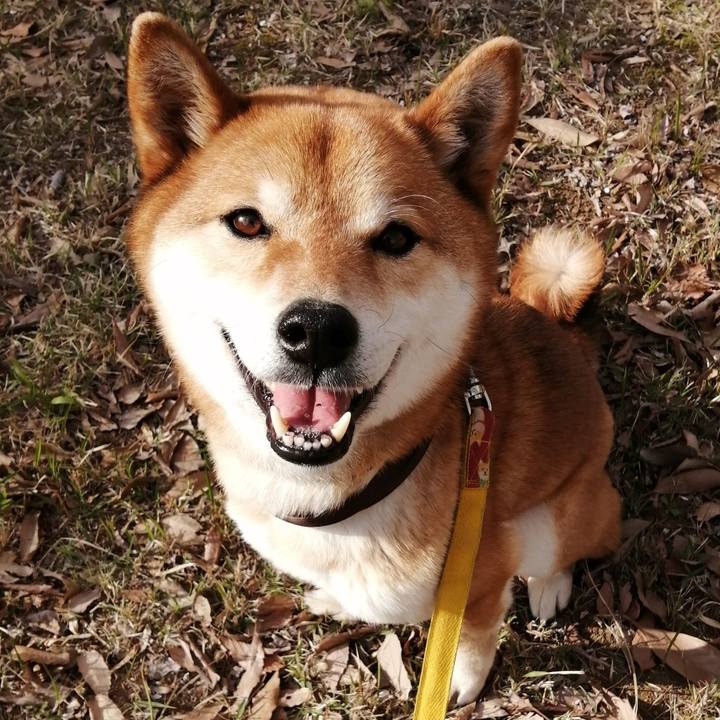 30a7c78d eb0e 4122 bbbb 796de409533a 1586589918867