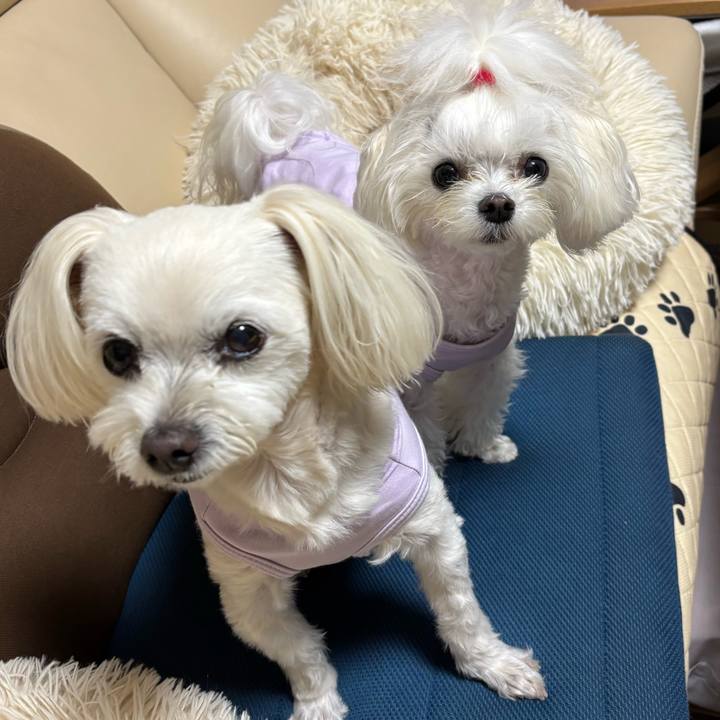 30a7ebd9 a0b6 4b10 8e2c 13f48a96fb21 1749726521430