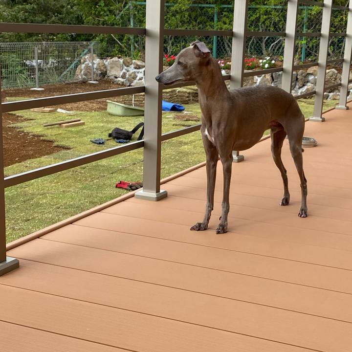 30a7f539 3418 4cfb 92eb cf5f0ed2de76 1757981688818