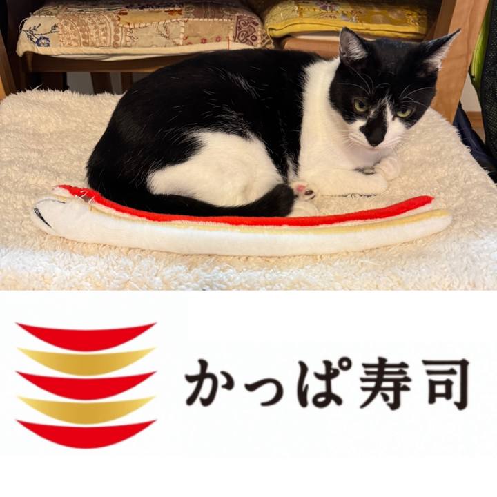 30a7f7c5 71bc 4aed aa8b 810af556e8bb 1770604822590