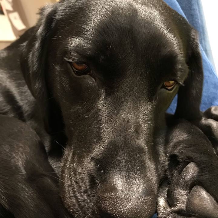 30a80584 b5d3 48b1 96f8 6d3dbdf775c0 1560774268684