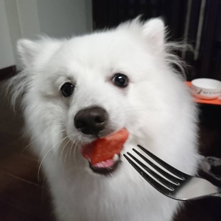 30a811e1 59f4 4817 b015 d145ece65589 1560347184367