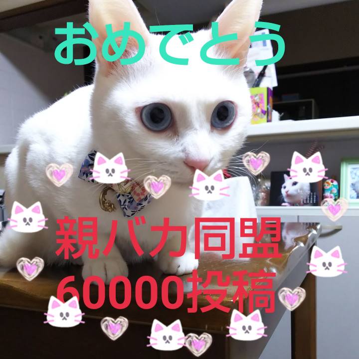 30a81c3c 2bdf 41fc 9d59 2227068a9c04 1580391405805