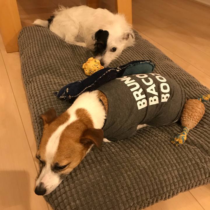 30a82550 f259 4502 aed6 0952d0c0c627 1536935250018