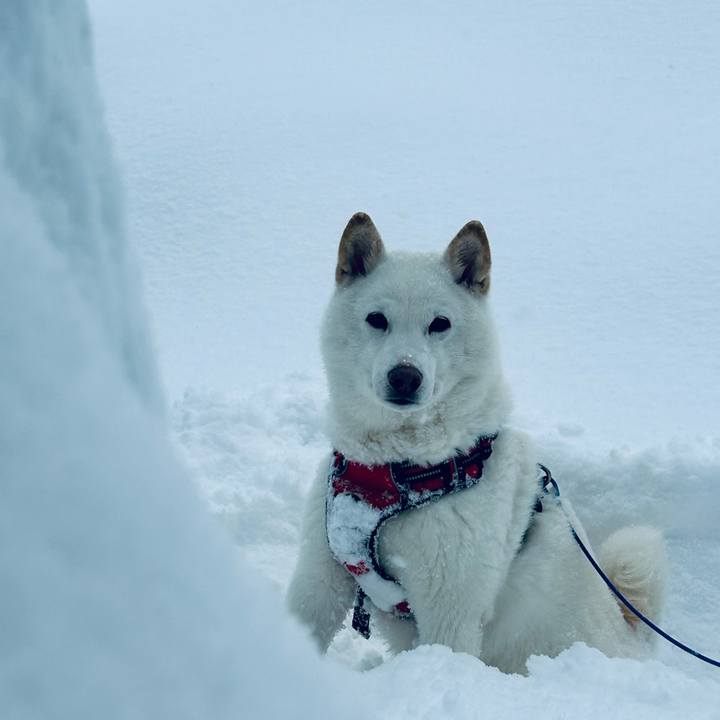 30a845bb f851 4839 a84d 86c456942080 1704675500181