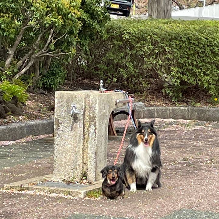 30a84fb4 ab0a 485d a159 d1e04136f4d3 1619304450406