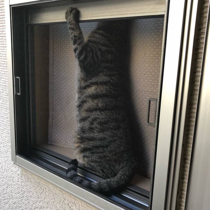 30a87994 2a40 4fd1 8a2a a0d1b402a628 1515459709825